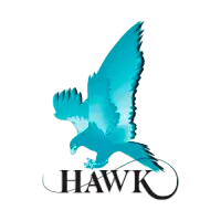 Логотип Hawk Measurement Systems